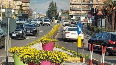 Frosinone FROSINONE – 150 metri di fiori a Madonna della Neve Fiori