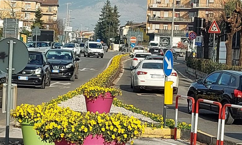 Frosinone FROSINONE – 150 metri di fiori a Madonna della Neve Fiori