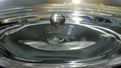 Pontecorvo PONTECORVO: ACEA ATO 5 realizzerà un nuovo depuratore green depuratore