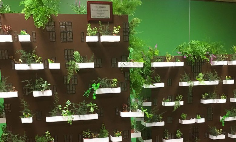 Frosinone FROSINONE – “La Rinascita” (Comprensivo 2): presentato il “Bosco verticale” Bosco verticale Frosinone