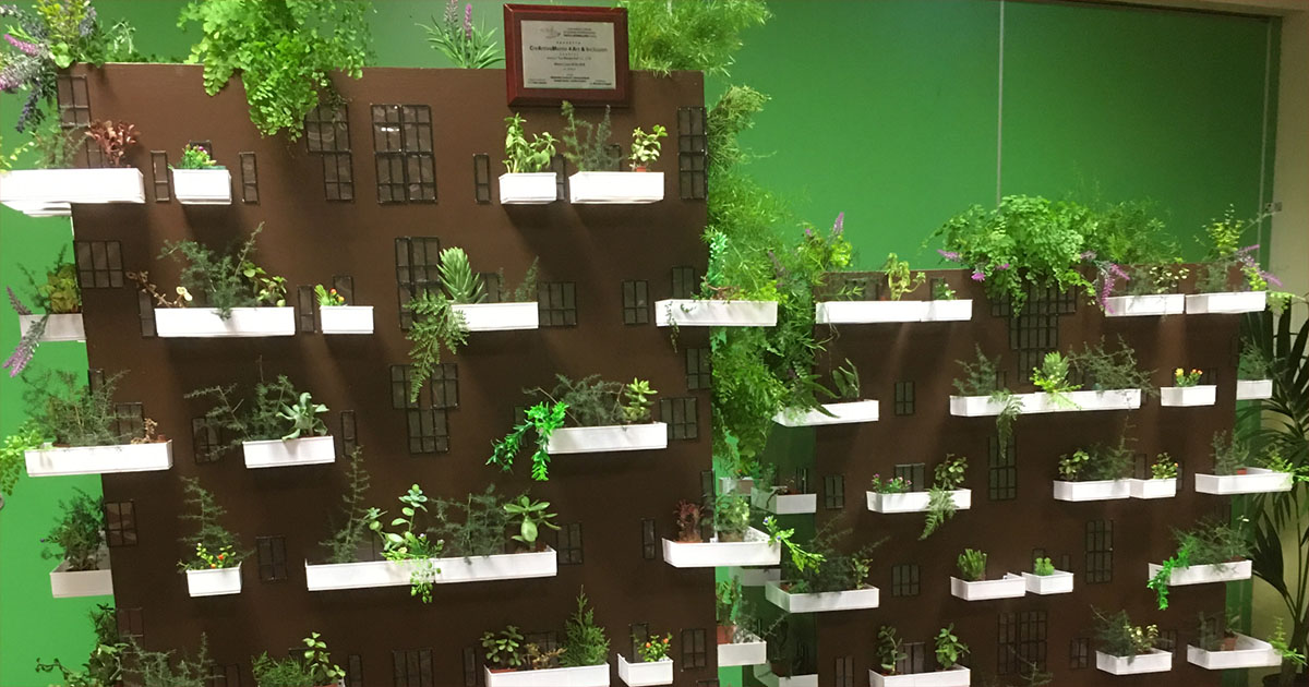 Frosinone FROSINONE – “La Rinascita” (Comprensivo 2): presentato il “Bosco verticale” Bosco verticale Frosinone