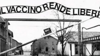 Frosinone Le reazioni della politica dopo il post di Marco Ferrara con la foto di Auschwitz e la scritta “Il vaccino rende liberi” Il vaccino rende liberi