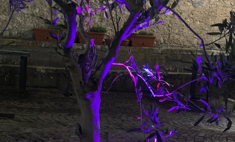 FALVATERRA – Il Torrione illuminato di viola per la Giornata della Fibromialgia Torrione Falvaterra