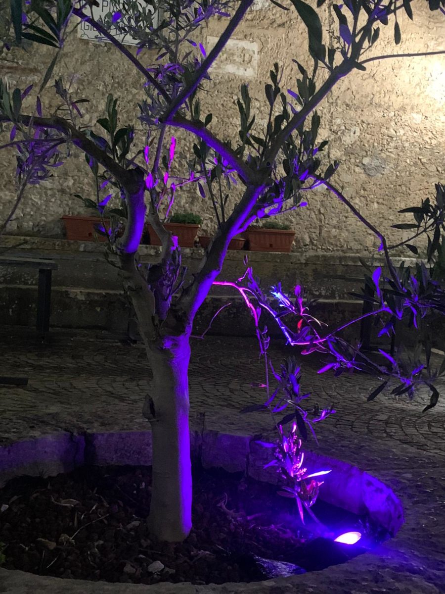 FALVATERRA – Il Torrione illuminato di viola per la Giornata della Fibromialgia Torrione Falvaterra