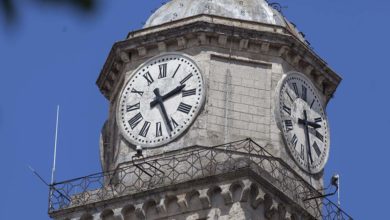 Frosinone FROSINONE – Campanile: manutenzione dell’orologio e dissuasori anti-volatili CAMPANILE FROSINONE