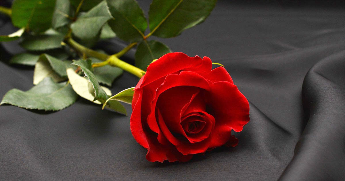 Frosinone È venuta a mancare Rosa Maria Palombo Lutto