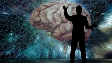 Studi rivelano i benefici che possiamo ottenere da una partita a carte brain