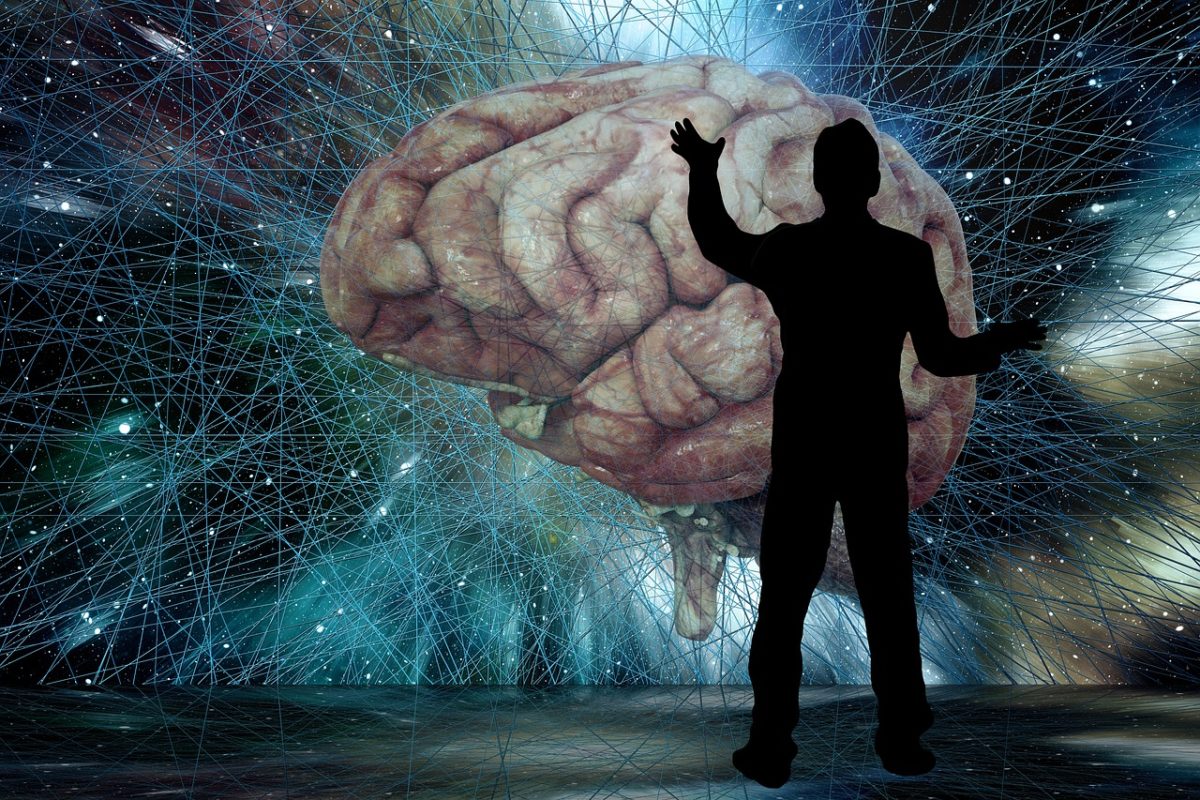 Studi rivelano i benefici che possiamo ottenere da una partita a carte brain
