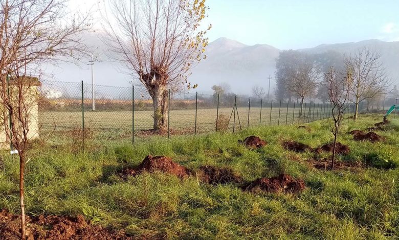 lago di Posta Fibreno POSTA FIBRENO – “Progetto Ossigeno”: avviata la piantumazione di 350 piante piantumazione posta fibreno