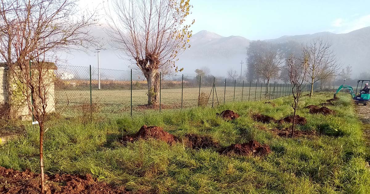 lago di Posta Fibreno POSTA FIBRENO – “Progetto Ossigeno”: avviata la piantumazione di 350 piante piantumazione posta fibreno