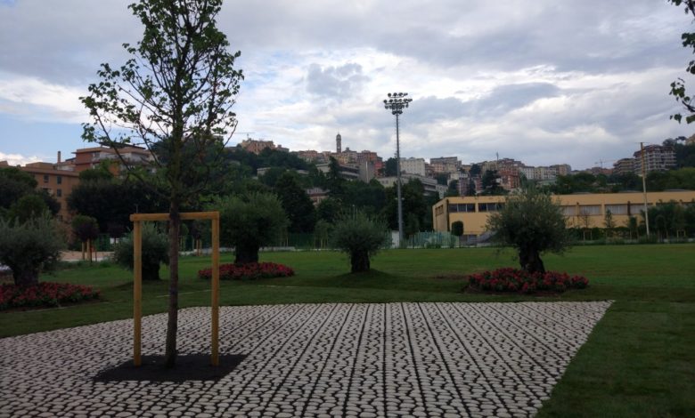 Frosinone Frosinone, una fontana danzante al Parco del Matusa parco matusa