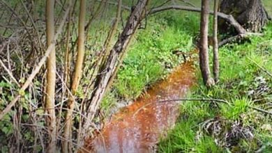 Frosinone “Acque rosse” nel Rapido: manganese e metalli pesanti, contaminazione molto elevata Acque Rosse