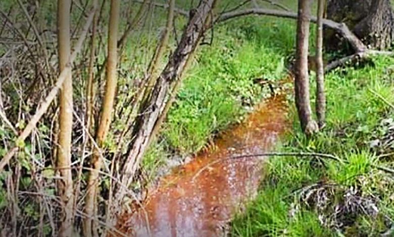 Frosinone “Acque rosse” nel Rapido: manganese e metalli pesanti, contaminazione molto elevata Acque Rosse