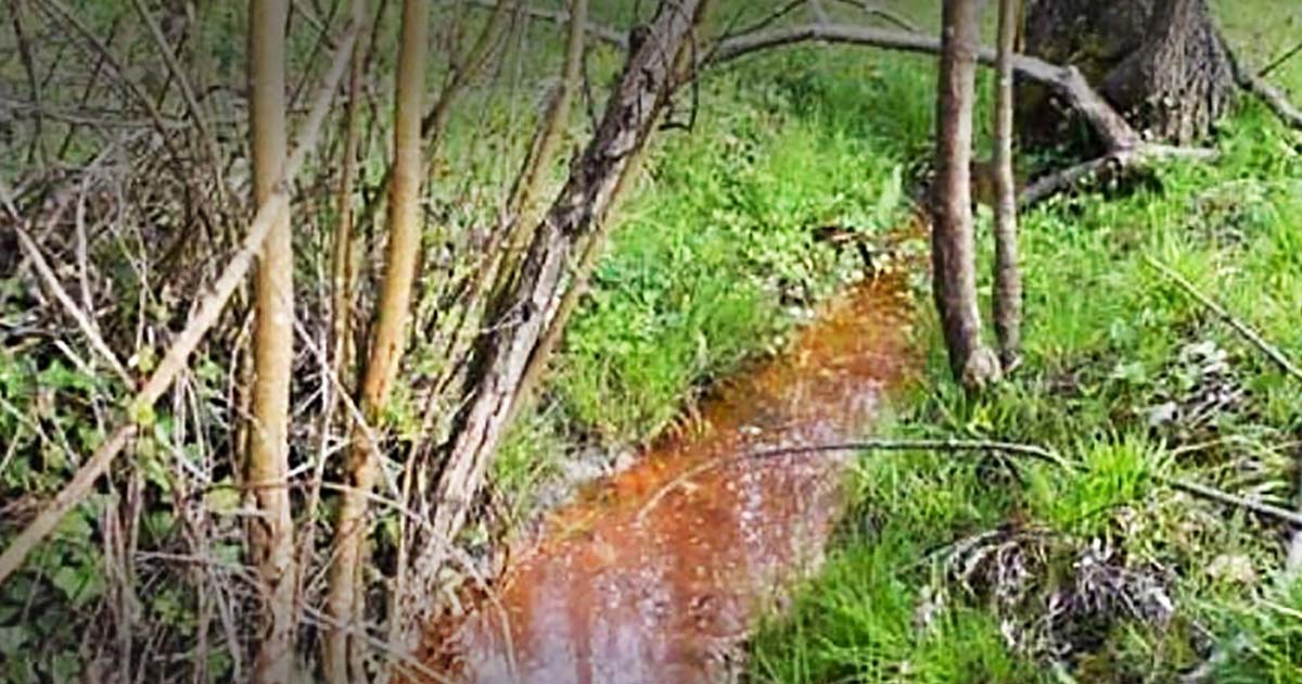 Frosinone “Acque rosse” nel Rapido: manganese e metalli pesanti, contaminazione molto elevata Acque Rosse