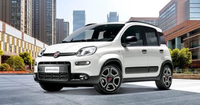 Fiat Panda Fino al 31 Gennaio 2022: FIAT Panda Life panda