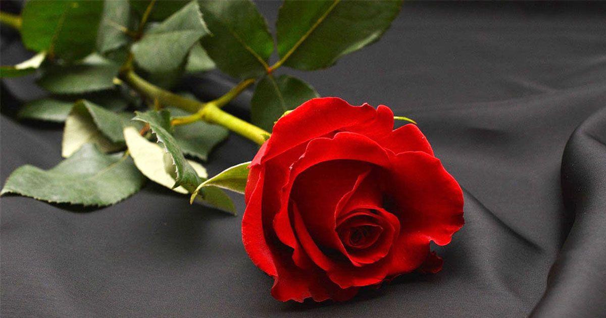 Frosinone Oggi il doloroso addio ad Arcangelo Del Monte. Il cordoglio dell’Associazione Magistrati Tributari di Frosinone Lutto