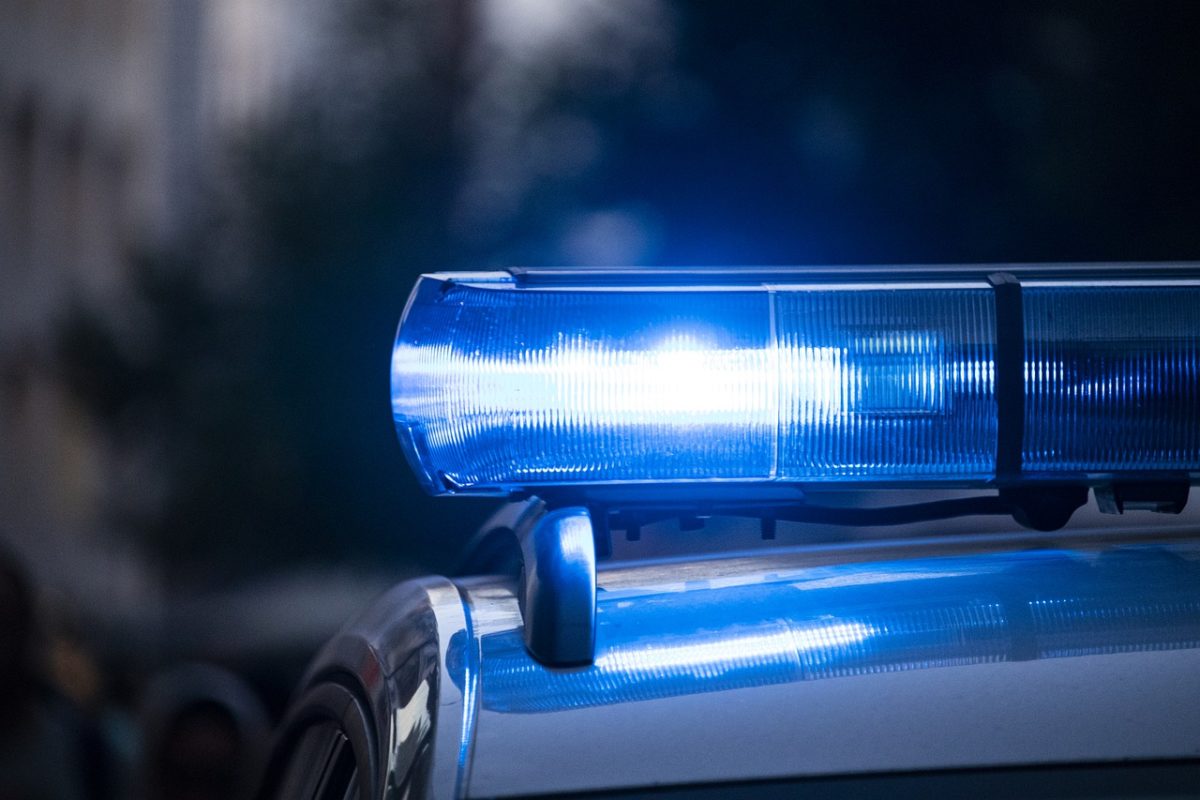 Frosinone Sequestrate 8.000 cartucce e 7 chili di polvere da sparo police