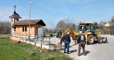 Boville Ernica: nuovi alberi per l’ambiente Boville Alberi cona Santa Liberata
