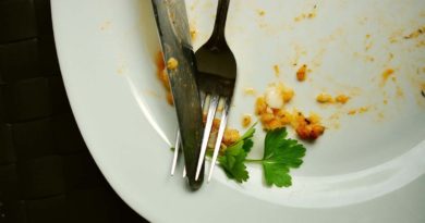 Fiuggi: cercansi n.5 lavapiatti per albergo lavapiatti