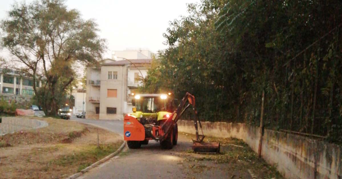 Frosinone Frosinone, ulteriori interventi di pulizia e decoro in Città IMG WA copia
