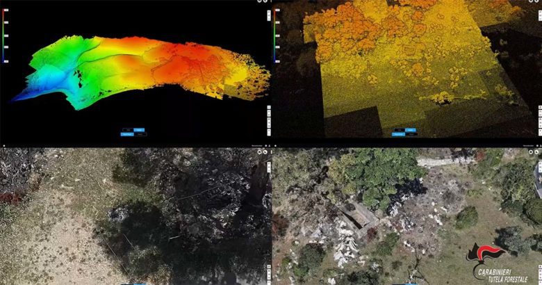 Frosinone Frosinone – Tre misure cautelari personali per incendio boschivo doloso aggravato dai futili motivi CARABINIERI TUTELA FORESTALE