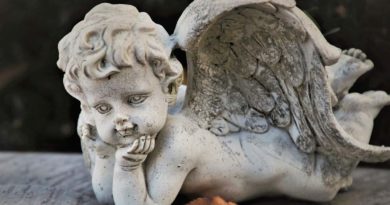 Bambina di 8 anni muore il giorno di capodanno. Vasto in lacrime Lutto