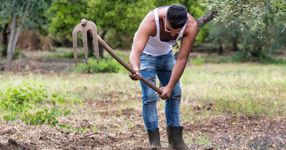 Sant’Elia Fiumerapido: cercasi bracciante agricolo Agricoltore