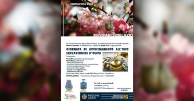 Posta Fibreno: una giornata di avvicinamento all’olio extravergine di oliva Locandine