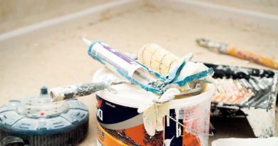 Roma: cercansi 5 decoratori e stuccatori edili intonaco