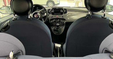 Fiat interni