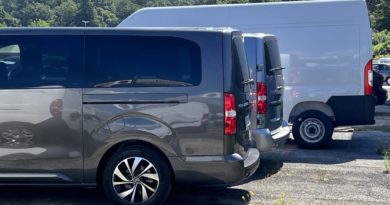 Gamma Fiat Professional in pronta consegna FTAT PROFESSIONAL
