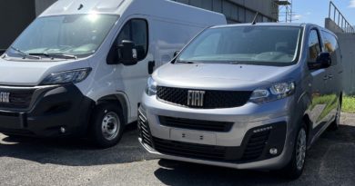 Gamma Fiat Professional in pronta consegna FTAT PROFESSIONAL