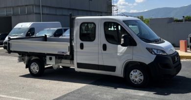 Gamma Fiat Professional in pronta consegna FTAT PROFESSIONAL
