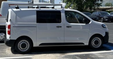 Gamma Fiat Professional in pronta consegna FTAT PROFESSIONAL
