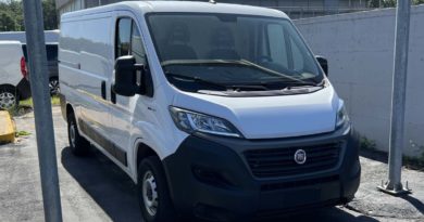 Gamma Fiat Professional in pronta consegna FTAT PROFESSIONAL