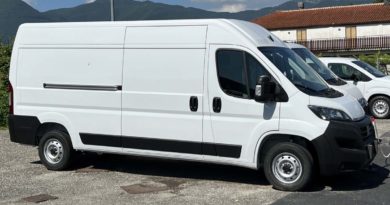 Gamma Fiat Professional in pronta consegna FTAT PROFESSIONAL