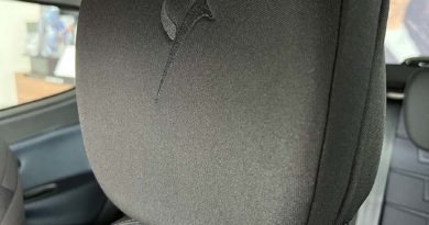 Lancia Ypsilon: fino al 31 Ottobre tua da Lancia Ypsilon particolare interni anteriori poggiatesta