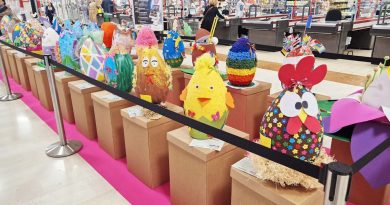 Alatri: al via il Concorso "Uova d'autore" alla Galleria del centro commerciale Panorama Uova Panorama copia