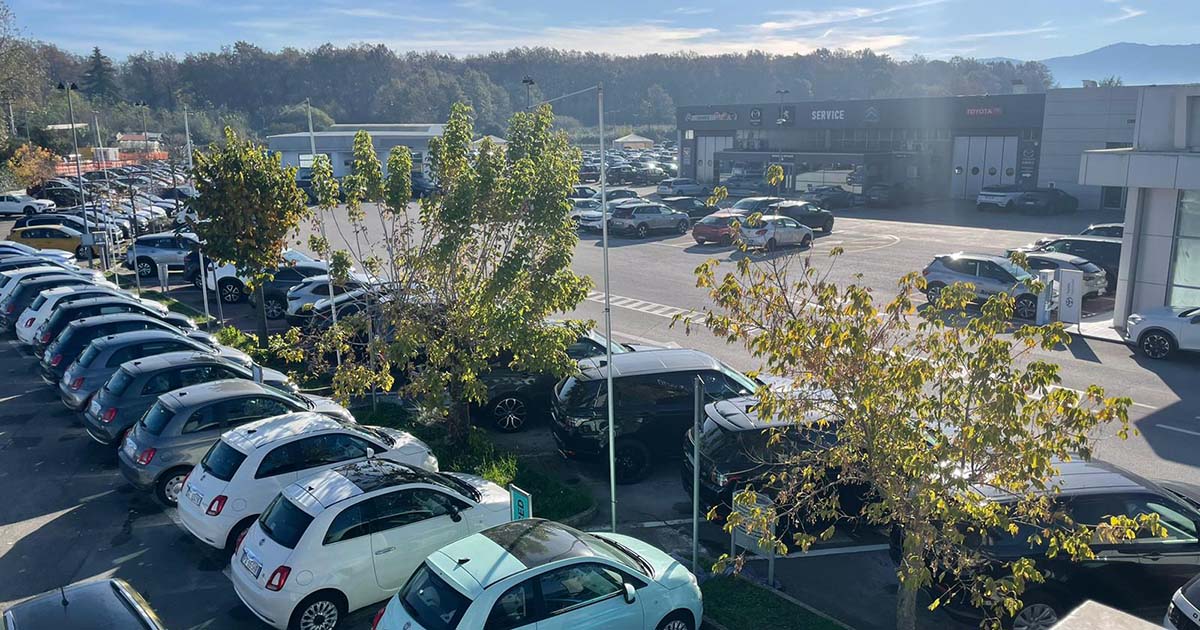 GRUPPO JOLLY AUTOMOBILI