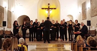 Screenshot Gallery copia