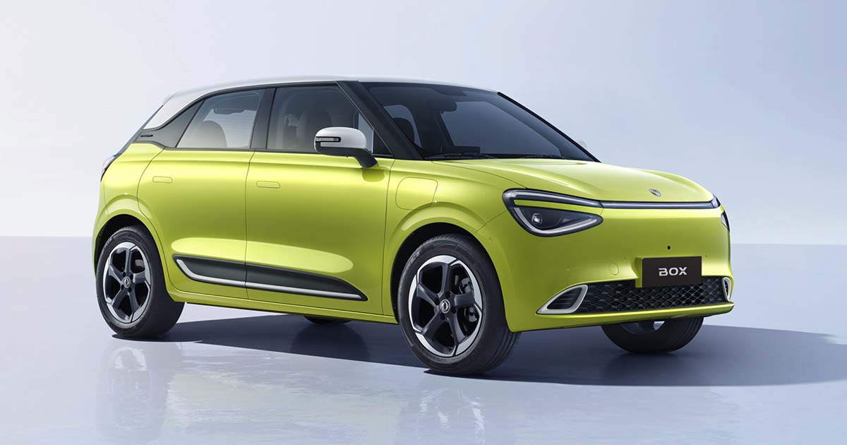 dongfeng box lemon scaled