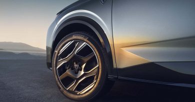 PEUGEOT E