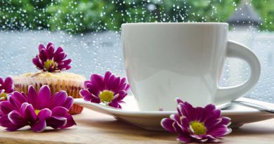 Frosinone pioggia giochi online