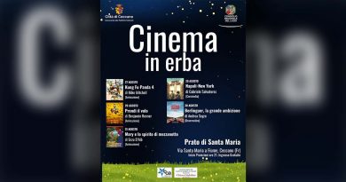 Cinema in erba