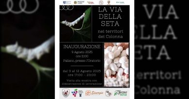 Via della Seta Paliano