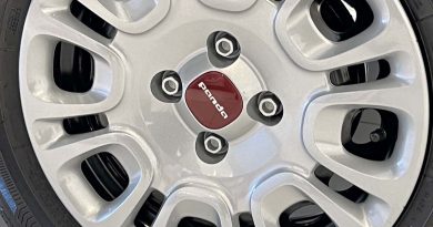 Fiat Pandina cerchione