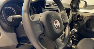 Fiat Pandina interno volante