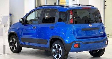 Fiat Pandina laterale e posteriore