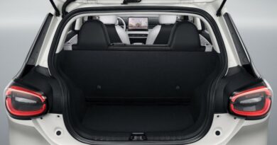 dongfeng box bagagliaio x