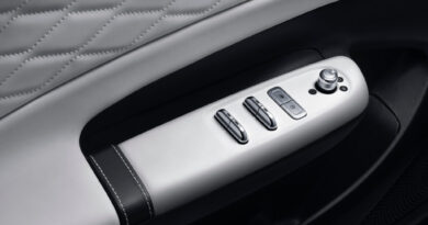 dongfeng box bracciolo x